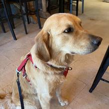 The Whistle Punk restaurant view 1