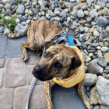 Irish Eyes restaurant view 4