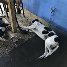 Boulevard Burgers restaurant view 2