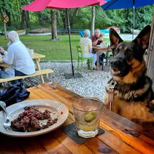 Bitter End restaurant view 1