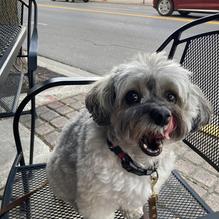 Villager Pub restaurant view 1