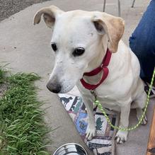 Outlaw BBQ Company restaurant view 5