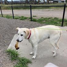 Outlaw BBQ Company restaurant view 4