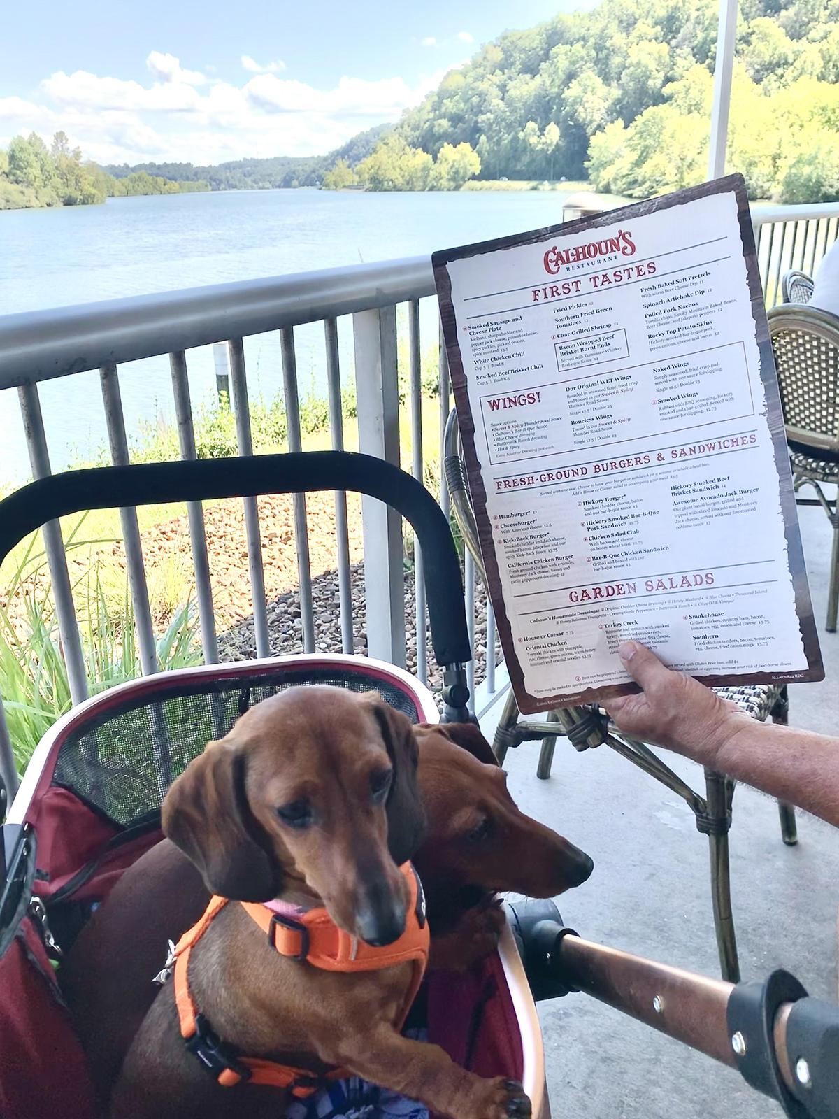 Calhoun's restaurant view 1