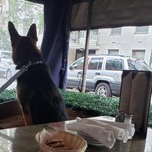 Pete's Tavern restaurant view 1