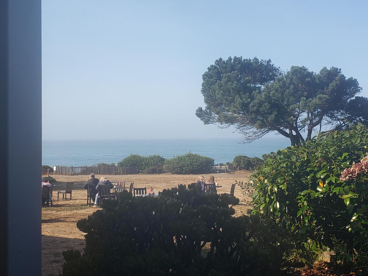 Trinks Cafe restaurant view 1