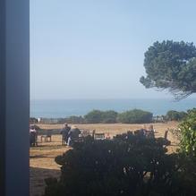 Trinks Cafe restaurant view 1