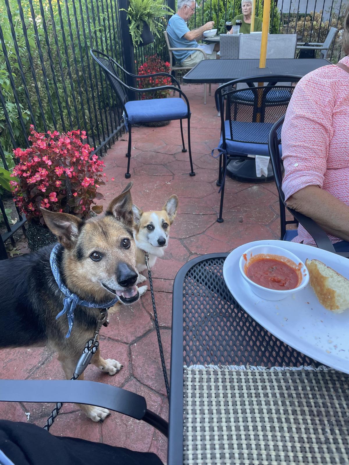 Olde Towne Pizza & Pasta restaurant view 1
