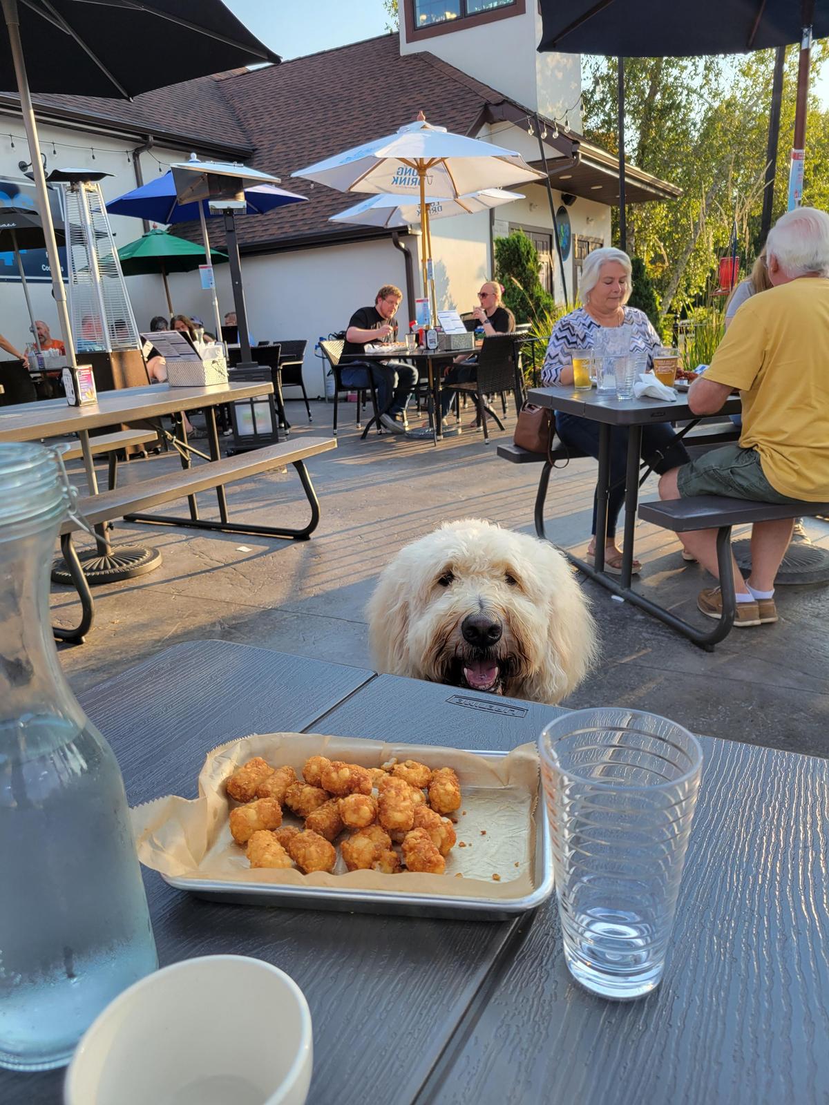 Hops 44 restaurant view 1