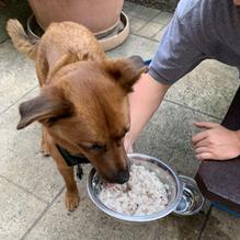 Tun Tavern Restaurant & Brewery restaurant view 4