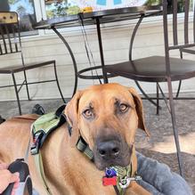 Great Eggs restaurant view 1