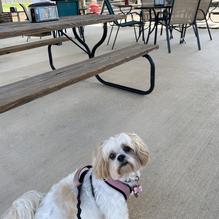 Bent Rim Grill restaurant view 4