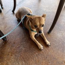 Havana Jack's Oceanside Restaurant and Bar restaurant view 2