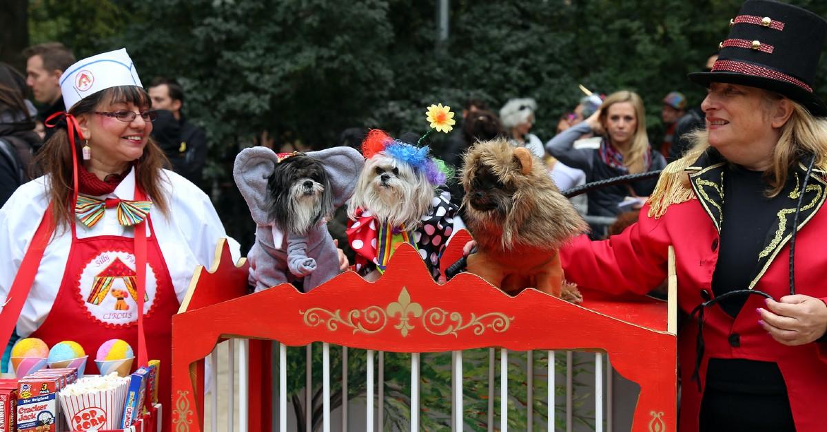 Howl-o-ween Parades and Other Upcoming October Events