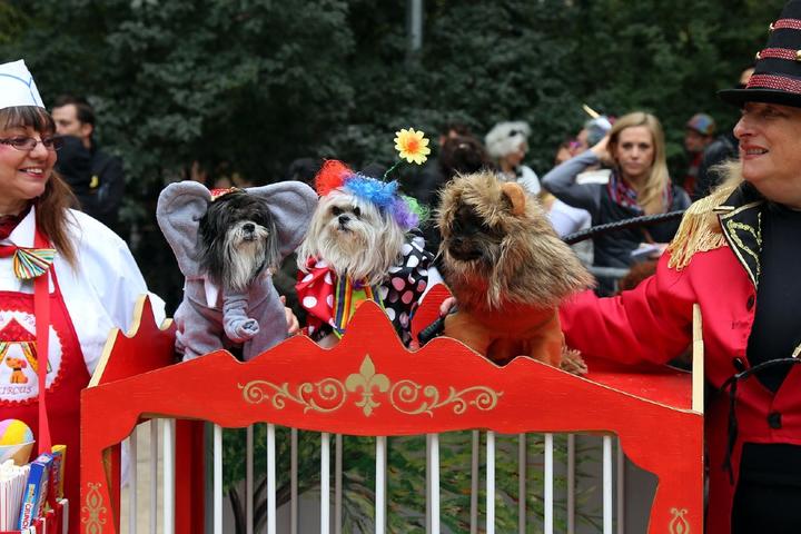 Howl-o-ween Parades and Other Upcoming October Events