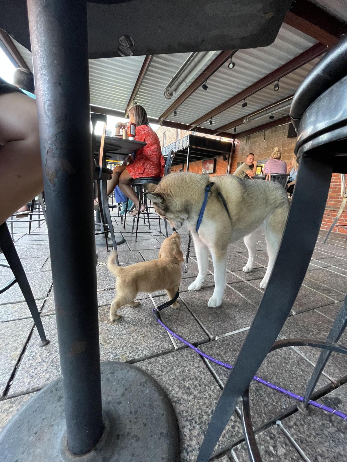 Deep Deuce Bar & Grill restaurant view 4