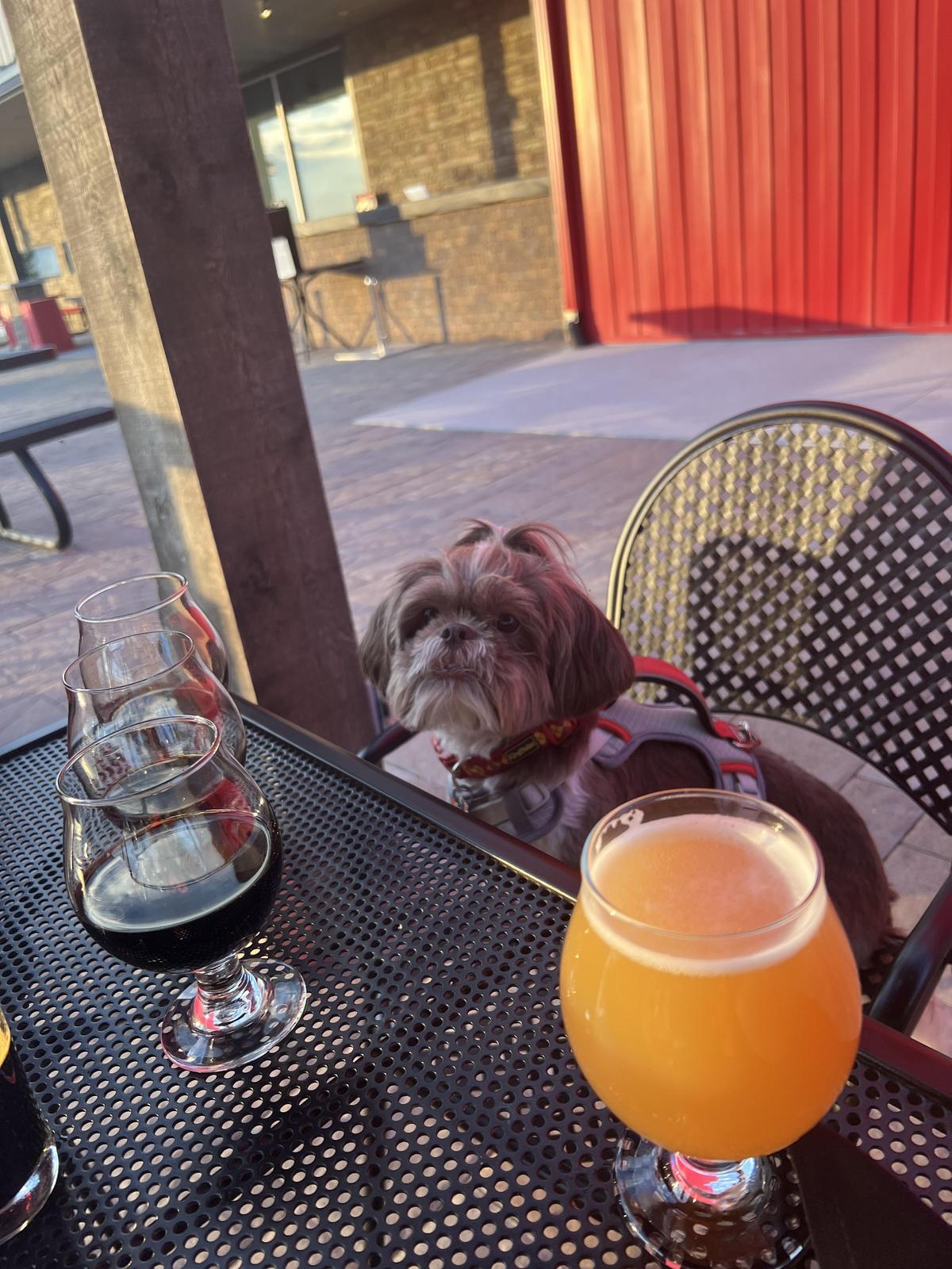 Toppling Goliath Brewing Co restaurant view 1