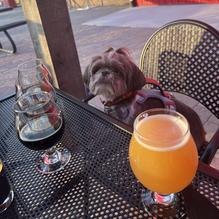 Toppling Goliath Brewing Co restaurant view 1