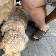 Brickhouse Restaurant restaurant view 2