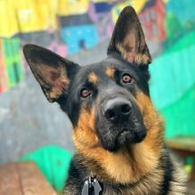 The Tinker's Son restaurant view 2