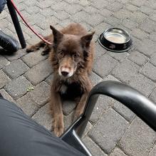 Fire + Ice restaurant view 1