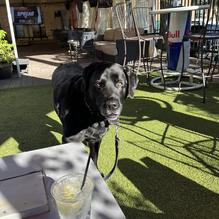 Ice House restaurant view 2