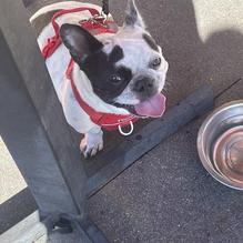 Simmzy's restaurant view 3