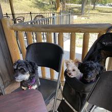 The Gaslight restaurant view 1