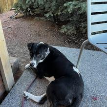 The Stone House restaurant view 1