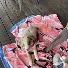 Come On Over Cafe restaurant view 1