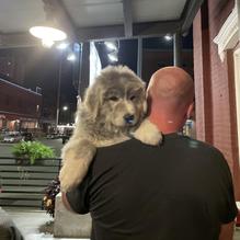 LeadBelly restaurant view 2