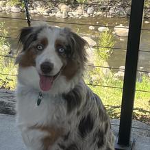 River View Restaurant & Lounge restaurant view 1