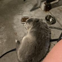 LeadBelly restaurant view 3