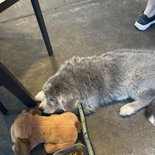 LeadBelly restaurant view 4