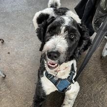 Grain Craft Bar + Kitchen restaurant view 2