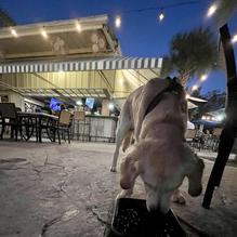 Get Hooked Grill restaurant view 1