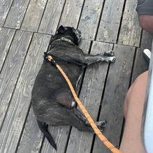 Mugen Noodle Bar restaurant view 1