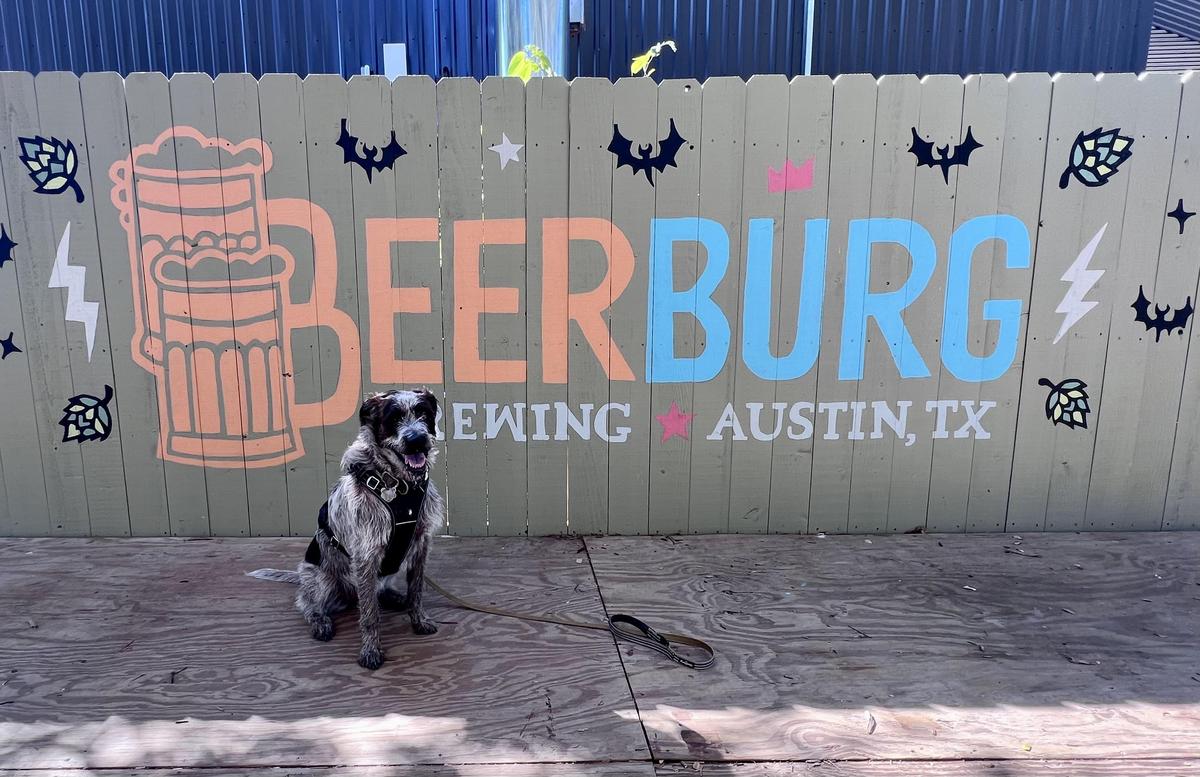 Beerburg Brewing restaurant view 1
