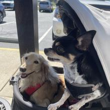 Craig's Place Cafe & Deli restaurant view 1