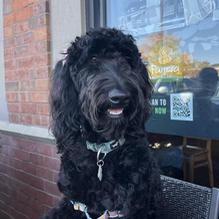 Panera Bread restaurant view 1