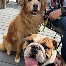 Tavern at Towne Lake restaurant view 1