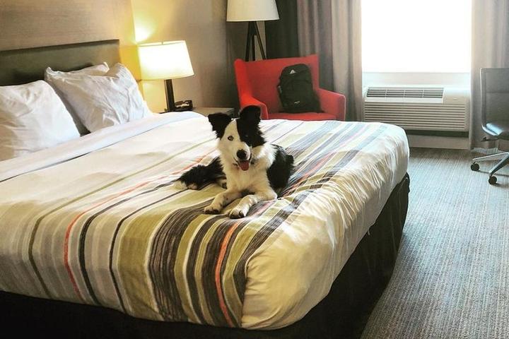 Country Inn & Suites by Radisson Pet Policy