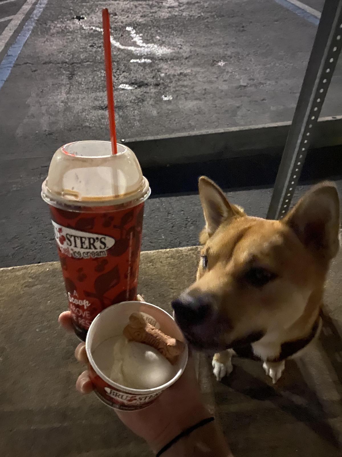 Bruster's Real Ice Cream restaurant view 1