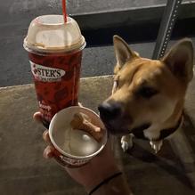 Bruster's Real Ice Cream restaurant view 1