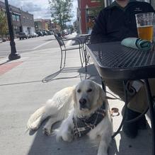 The SnakeBite Restaurant restaurant view 2