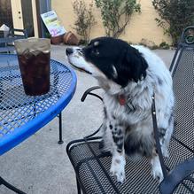 El Maguey restaurant view 2