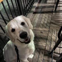 Del Cielo Brewing Co. restaurant view 1