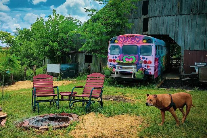Airbnbs With Land for Fido to Roam
