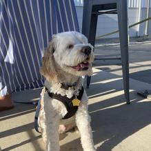 Steel Hands Brewing restaurant view 1