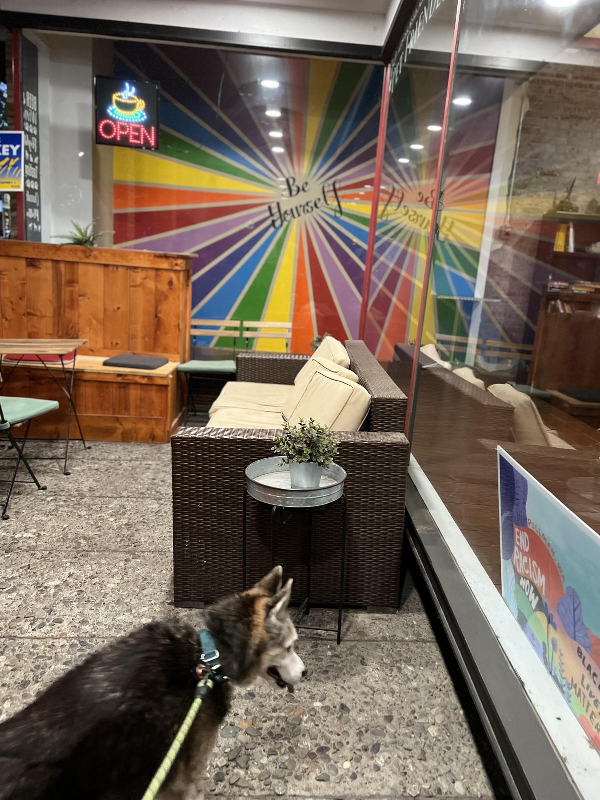 Pups & Cups Cafe restaurant view 2